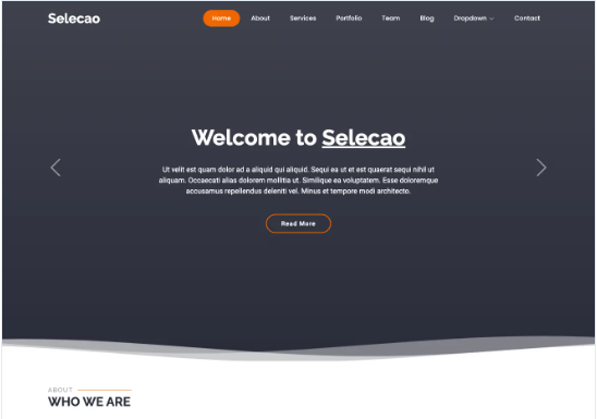 Selecao - Agency Bootstrap Template